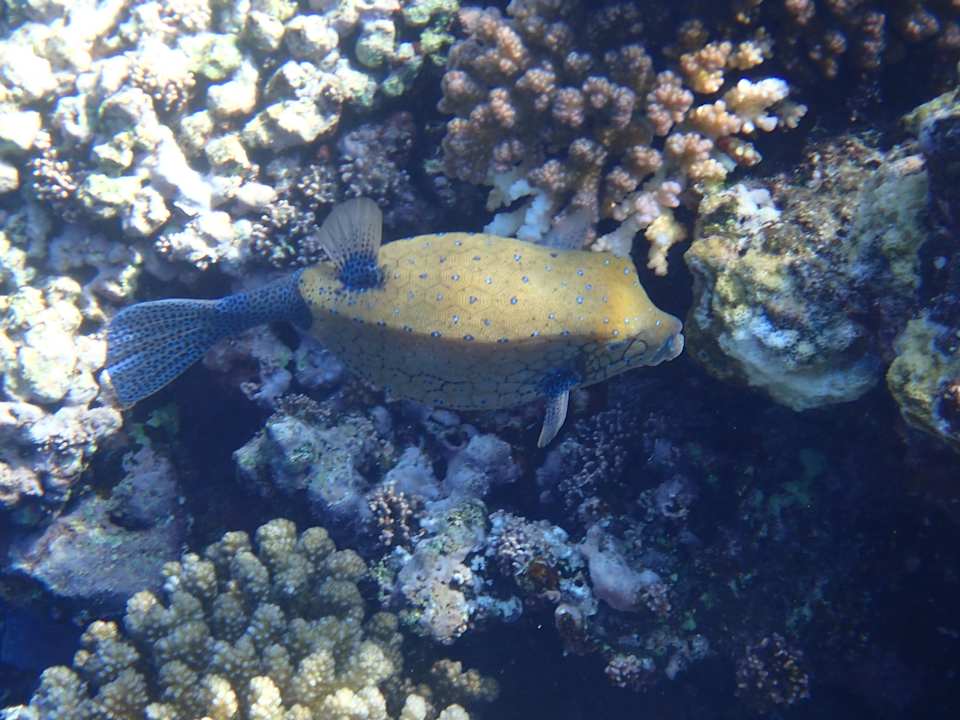 Sport & Freizeit Utopia Beach Club