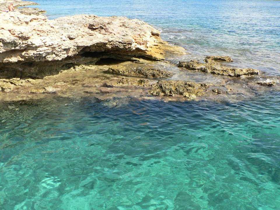 Traumhaft klares Wasser Comino Hotel & Bungalows