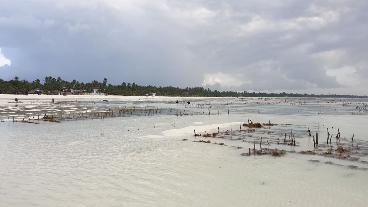 Strand Neptune Pwani Beach Resort & Spa