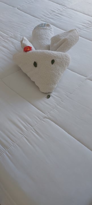 Zimmer Smy Kos Beach & Splash