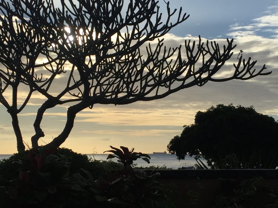 Ausblick Hotel The Oberoi Mauritius