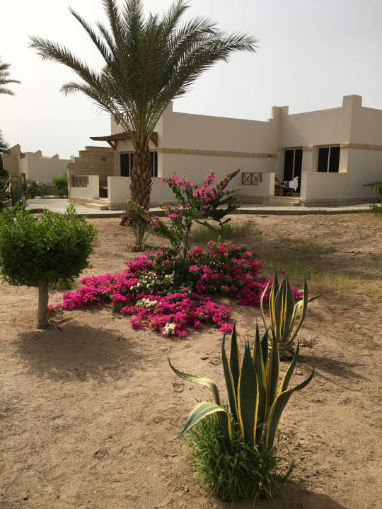 Garten Coral Beach Hurghada