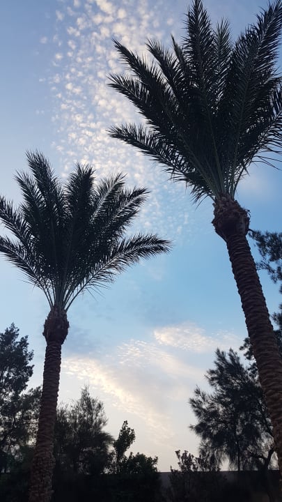 Ausblick Pickalbatros Aqua Vista Resort - Hurghada