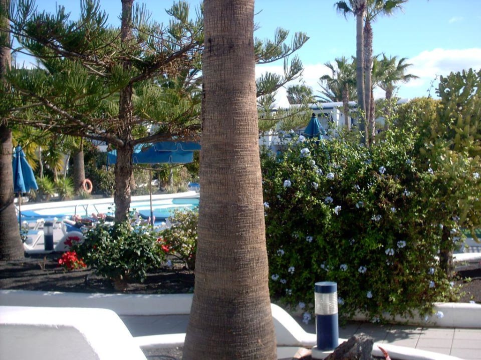 Gartenanlage Bungalows & Appartements Playamar