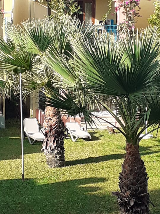 Gartenanlage VONRESORT Golden Beach