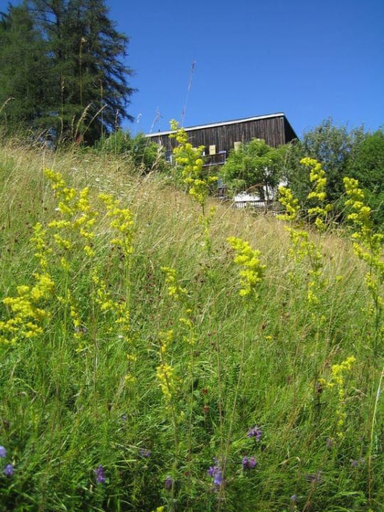 Hotelumgebung Pension Briol