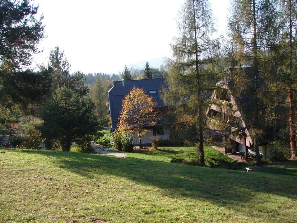 Blick ins Dorf Feriendorf am Maltschacher See