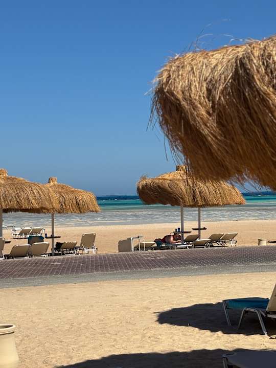 Strand JAZ Elite Asteria