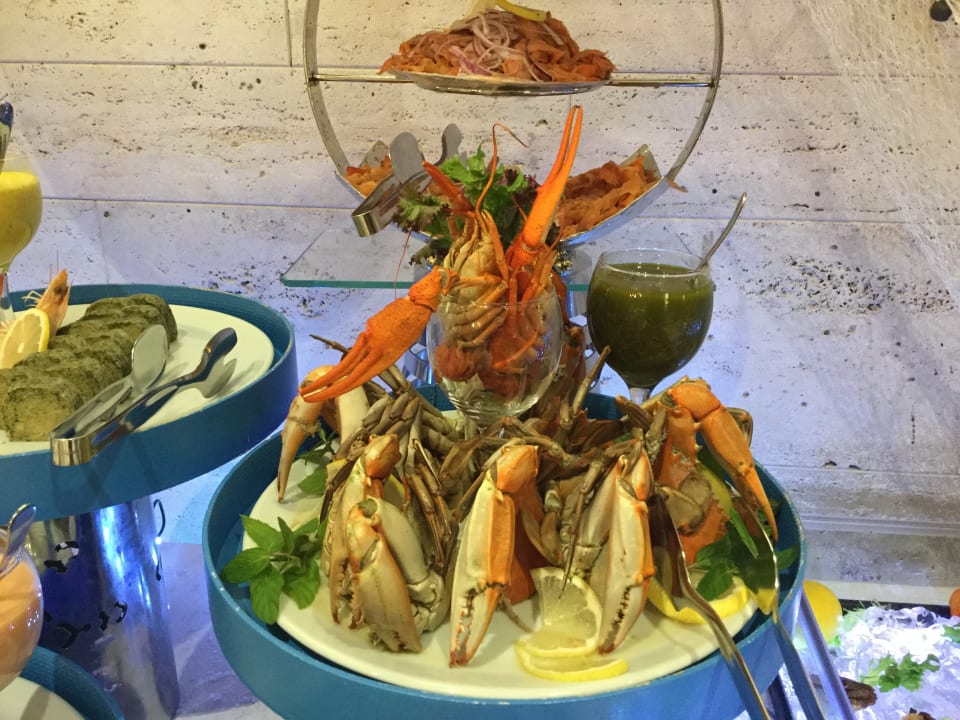 Gastro Acanthus Cennet Barut Collection