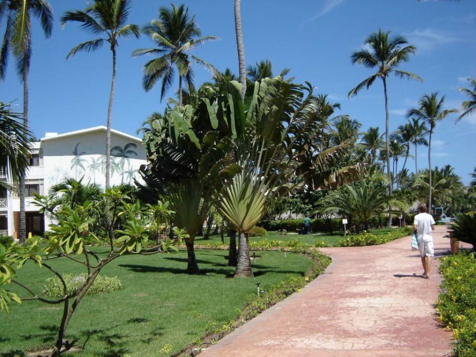 Garten VIK Hotel Arena Blanca