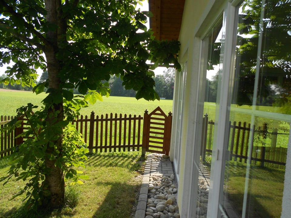 Terrasse im Garten hinter der Pension Pension Salzingerhof