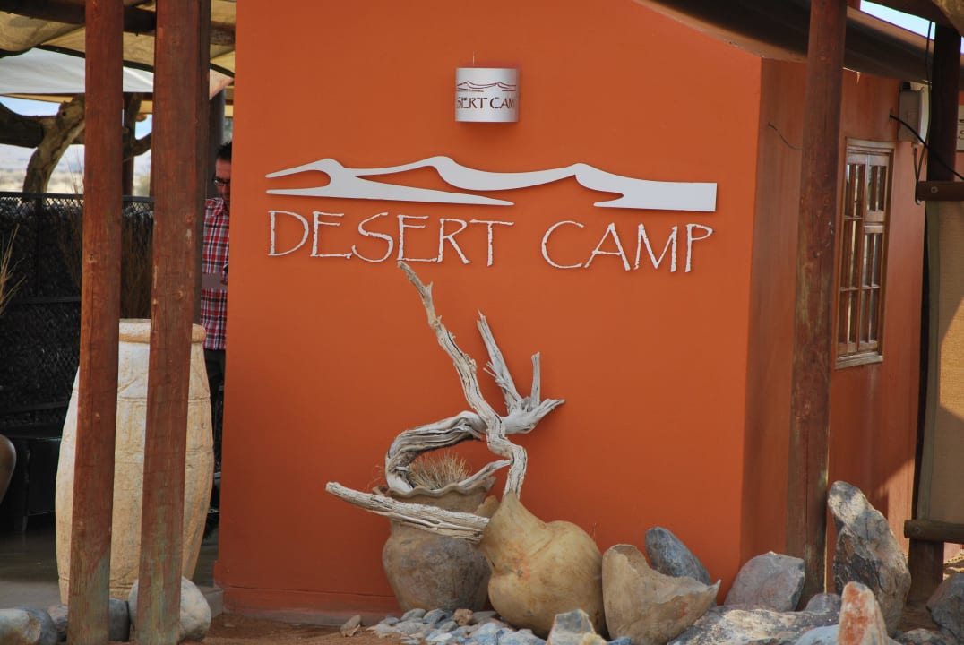 Desert Camo Desert Camp