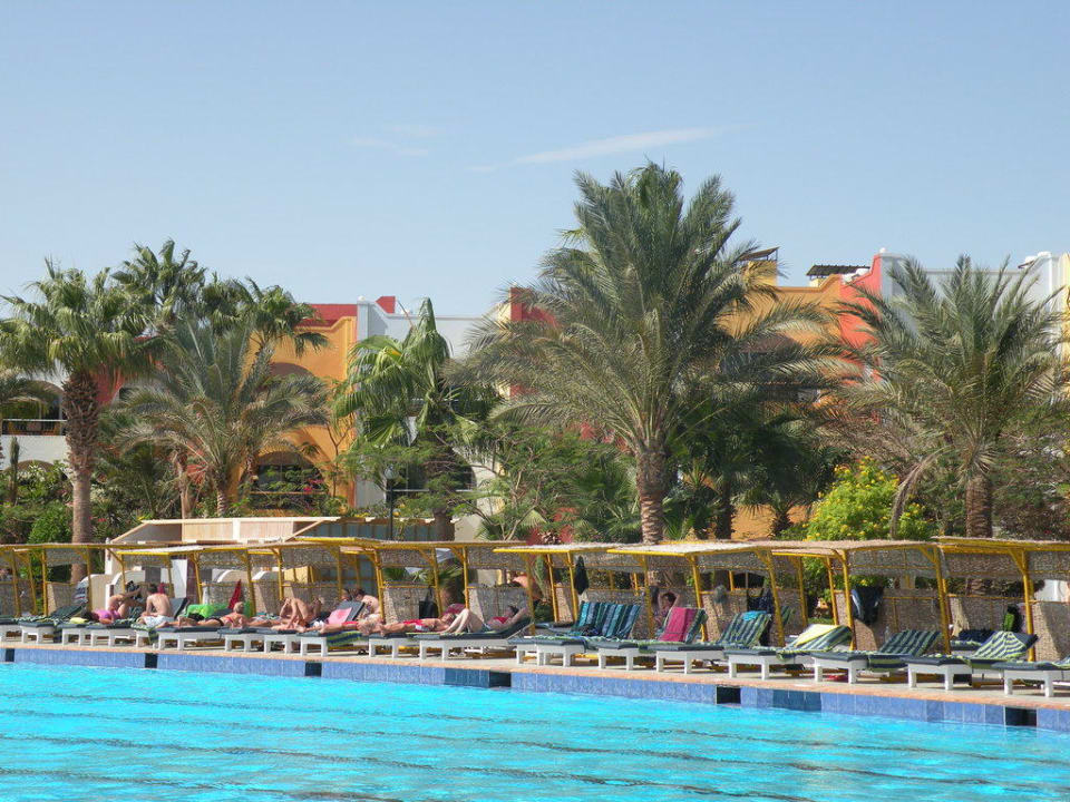 Poolanlage Arabia Azur Resort