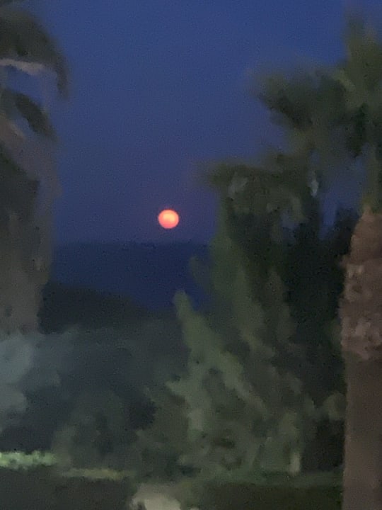 Gartenanlage Rodos Princess Beach Hotel & Spa