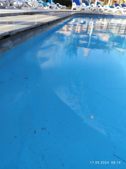 Pool Giftun Azur Resort