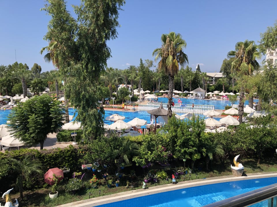 Pool Hotel Delphin Imperial