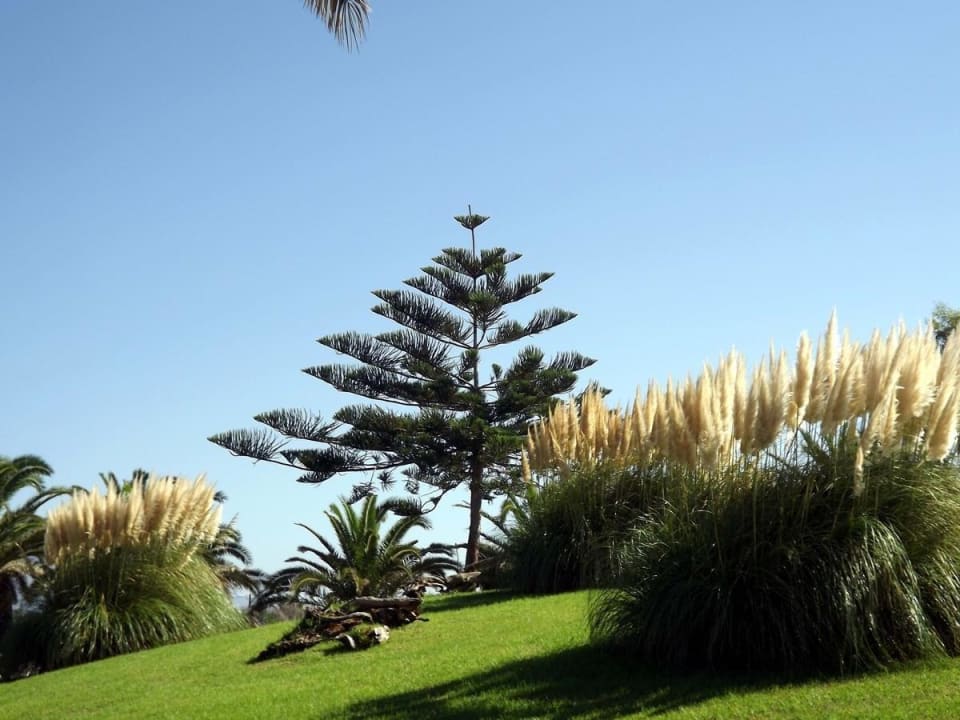 Garten am Pool Lagas Aegean Village
