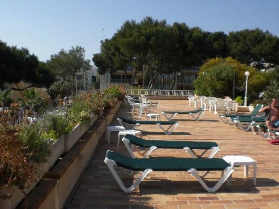 Liegewiese Pool Aparthotel Houm Plaza Son Rigo