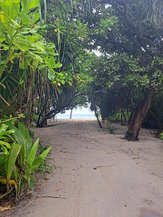 Gartenanlage Kuredu Island Resort & Spa