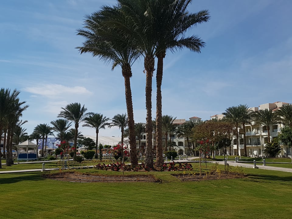Gartenanlage Pickalbatros Dana Beach Resort - Hurghada