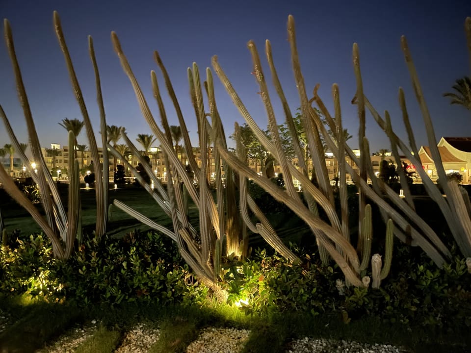 Gartenanlage Pickalbatros Dana Beach Resort - Hurghada