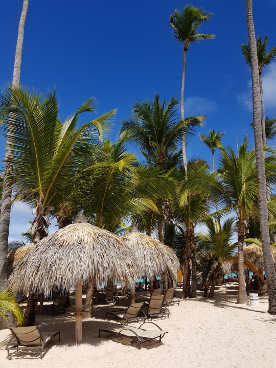 Strand TRS Turquesa Hotel - Adults only