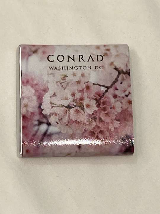 Sonstiges Conrad Washington DC