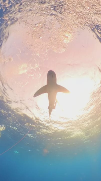 Sport & Freizeit Jaz Grand Marsa