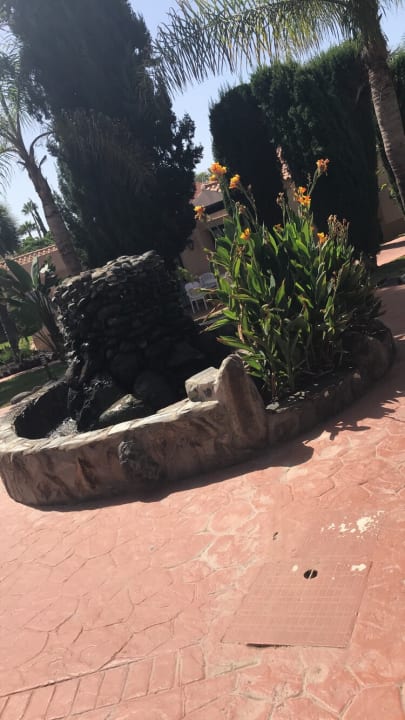 Gartenanlage allsun Hotel Esplendido