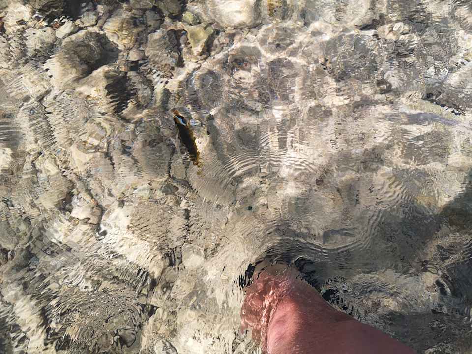 Sonstiges Pickalbatros Citadel Resort