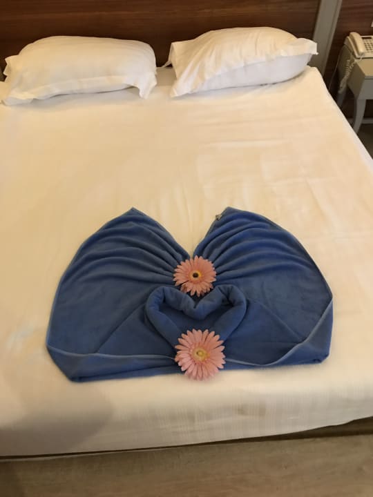 Zimmer Well Palace Side