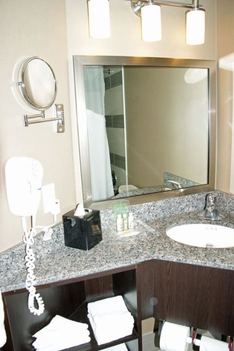 Das Bad Holiday Inn Toronto Downtown Centre