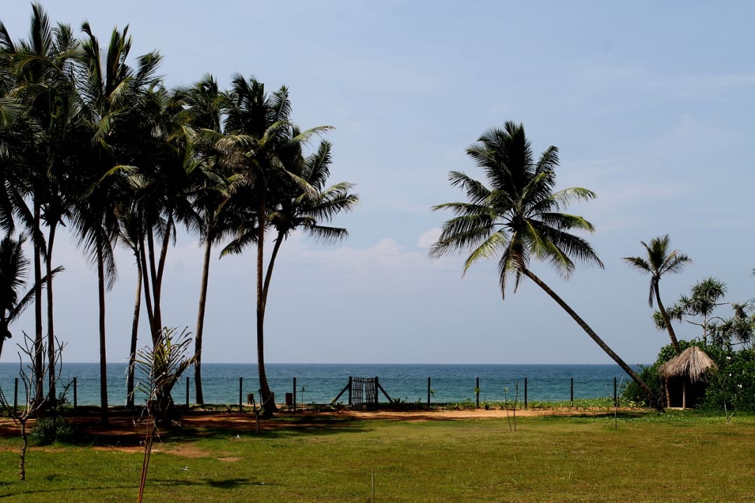 Ausblick ANANDA Ayurveda Resort