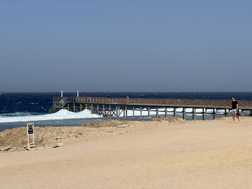 Strand Steigenberger Resort Alaya Marsa Alam - Red Sea - Adults only