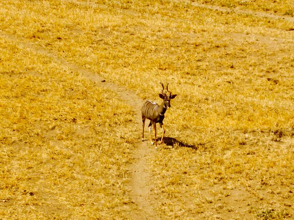 Ausblick Rhino Valley Lodge