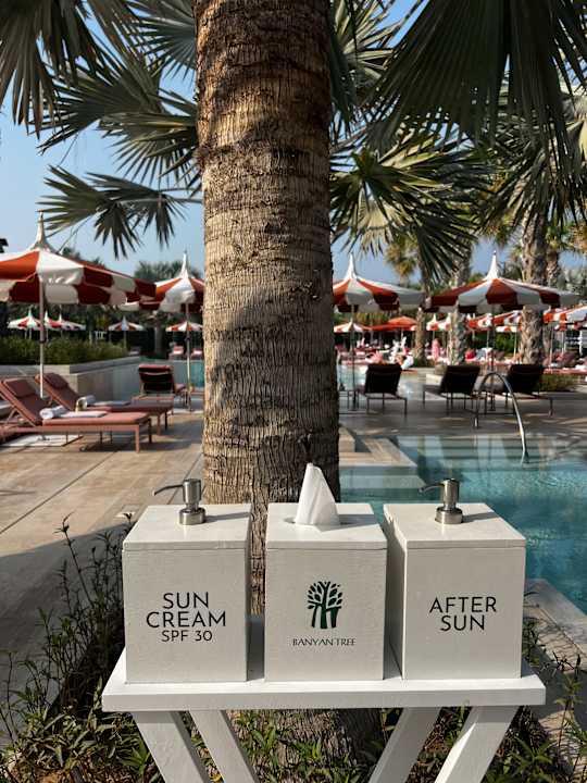 Pool Banyan Tree Dubai