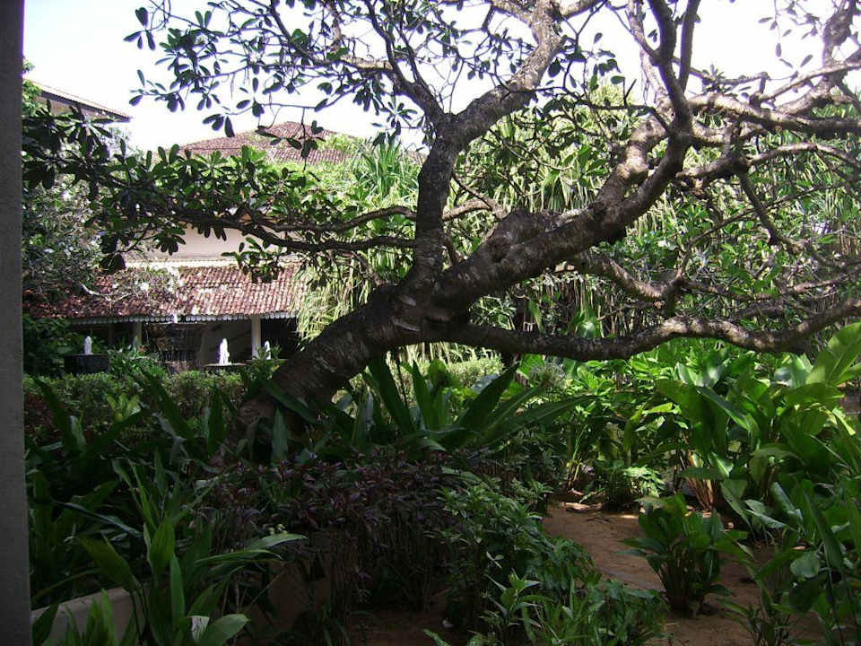 Innenhof Tangerine Beach Hotel