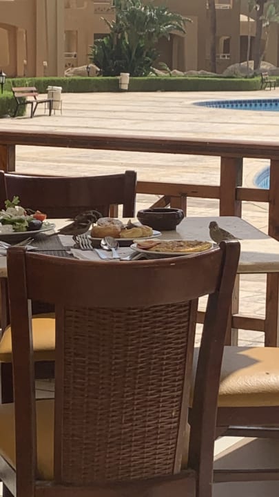 Gastro Sharm Grand Plaza Resort