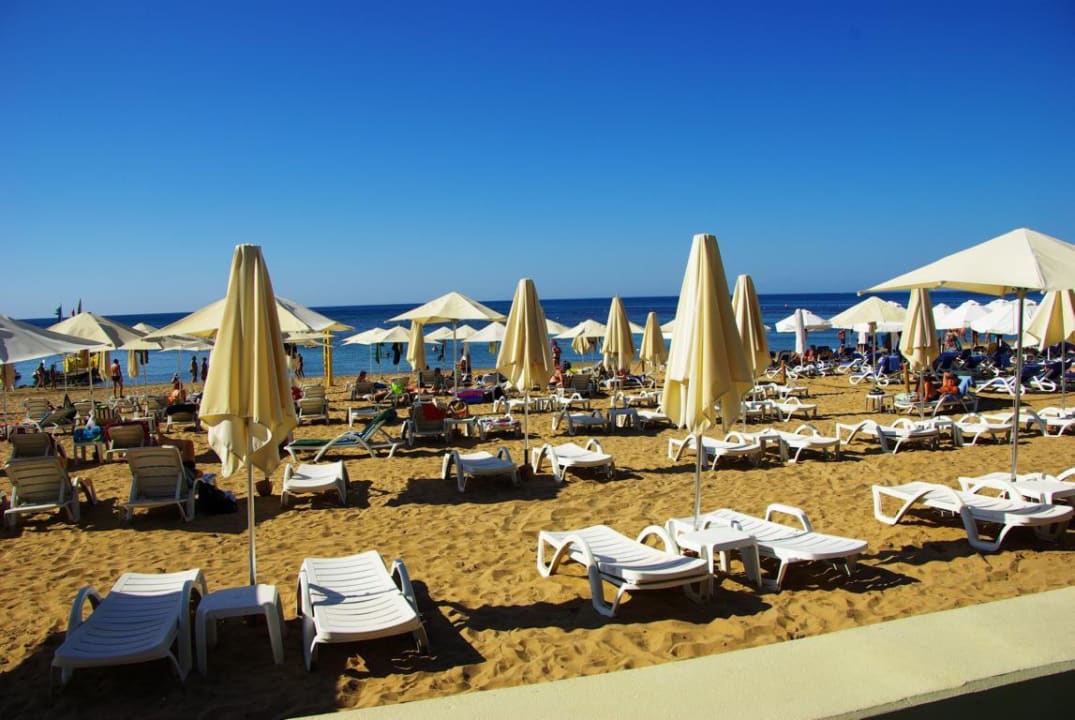 Am 25.10.2012 PALOMA Perissia