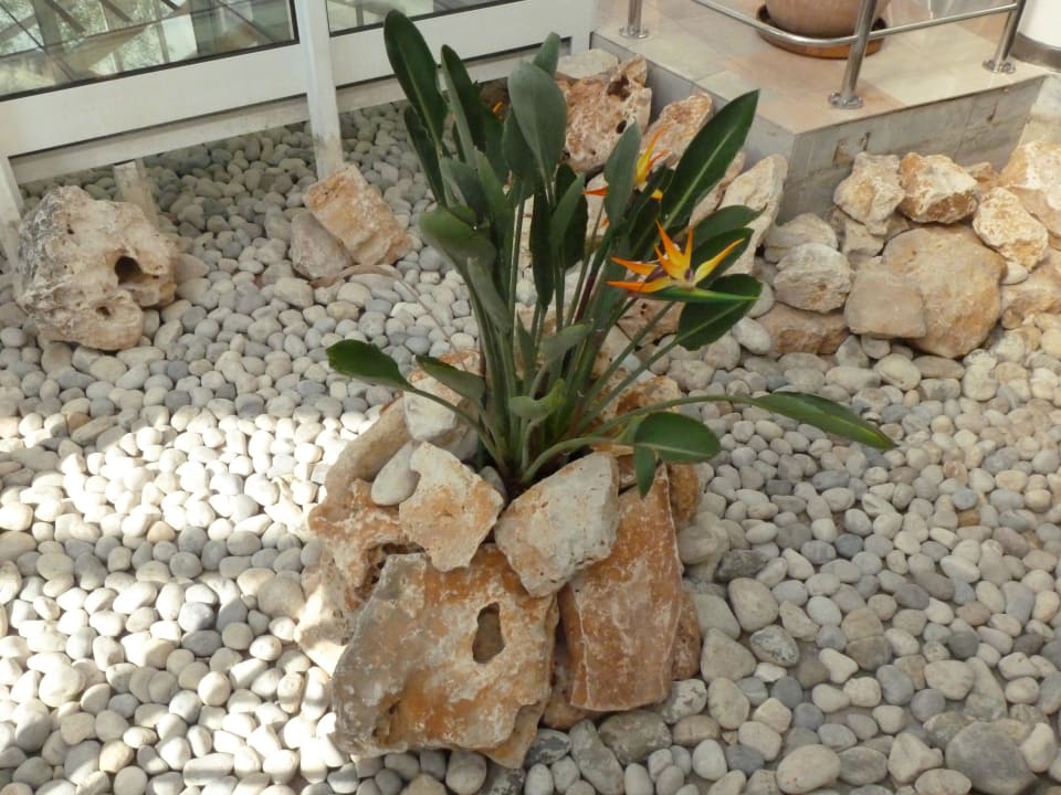 Eingangsbereich Maistra Select Pineta Hotel