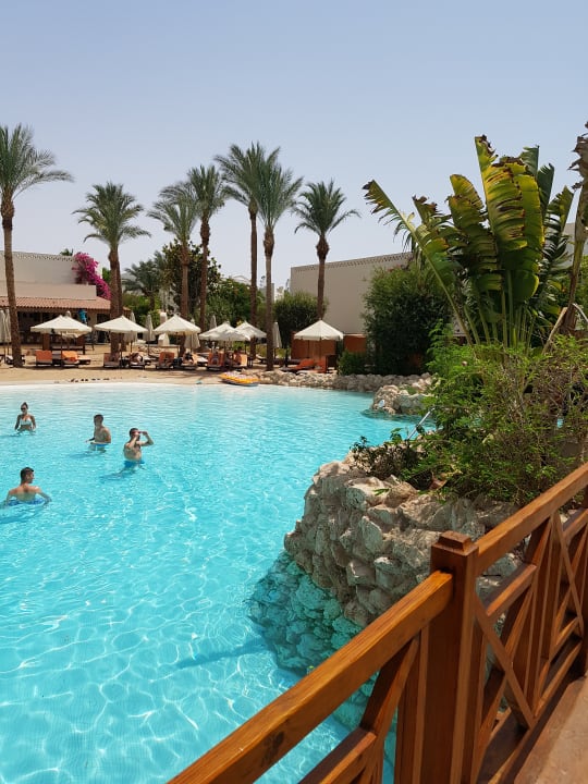 Pool Ghazala Gardens