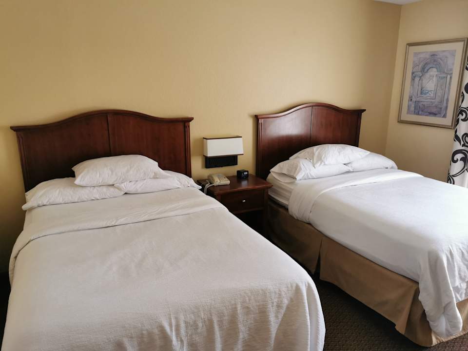 Zimmer Hotel Embassy Suites Orlando North