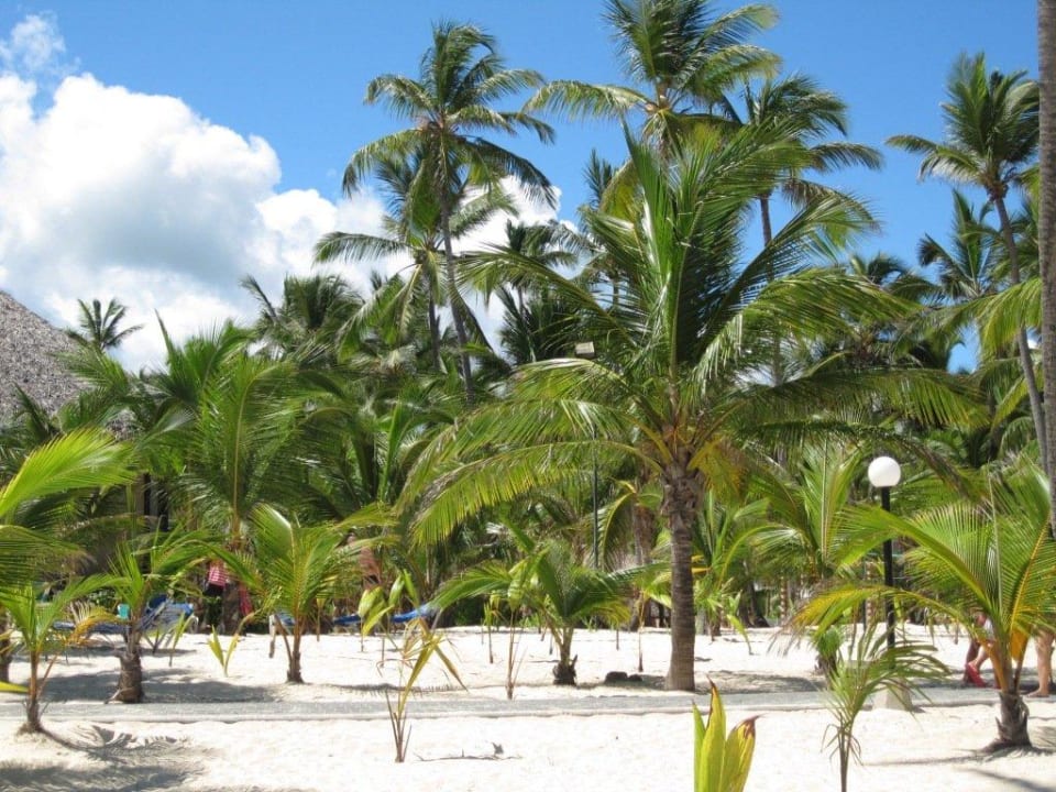 Strand Hotel Riu Bambu