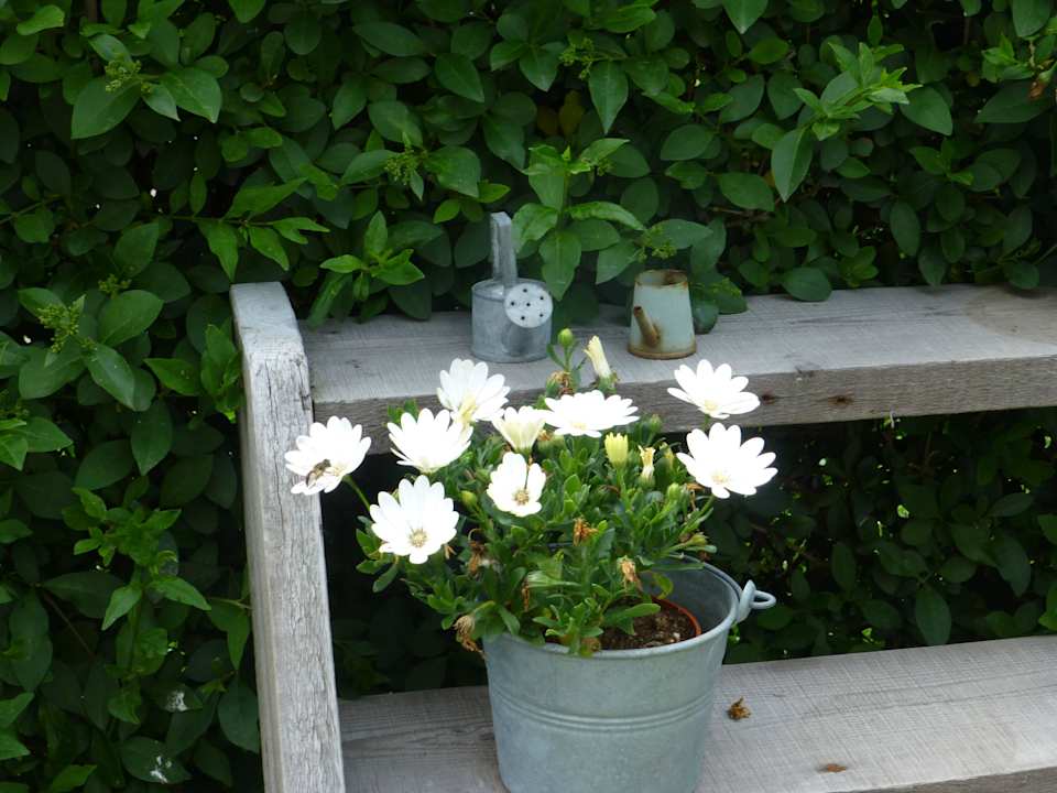 Liebevolle Dekoration Hotel Apostrophe