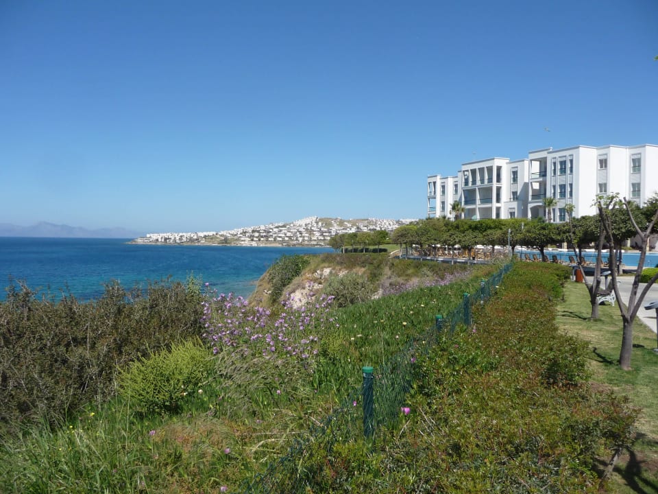 Details Xanadu Island Hotel