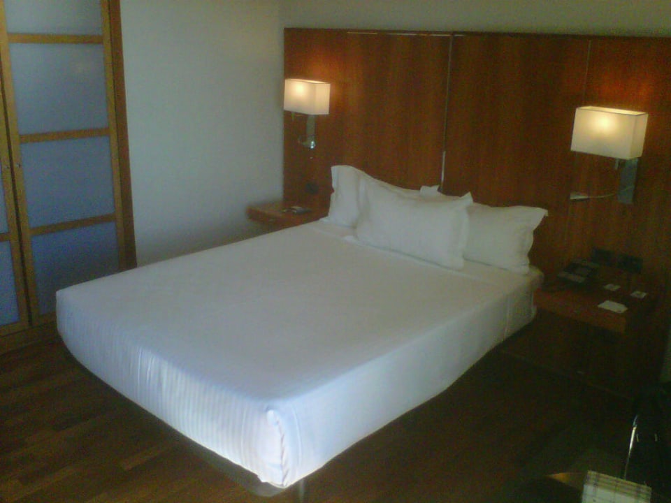 Bett Hotel Ac Malaga Palacio