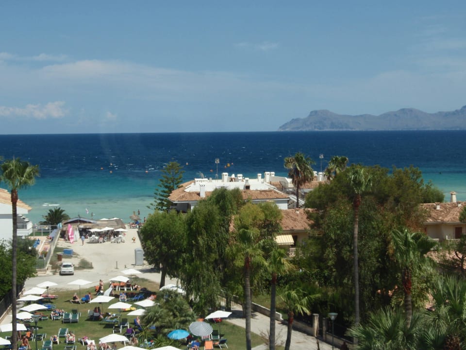 Gartenanlag und Meer allsun Hotel Eden Alcudia