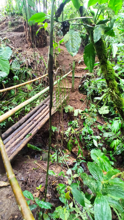 Gartenanlage Selina Quindio