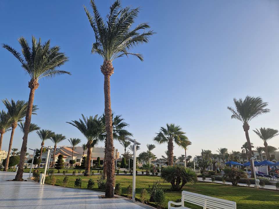 Gartenanlage Pickalbatros Dana Beach Resort - Hurghada