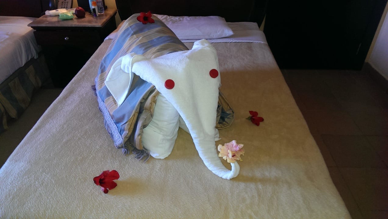 A gift from the cleaning staff  Stella Beach Resort & Spa Makadi Bay